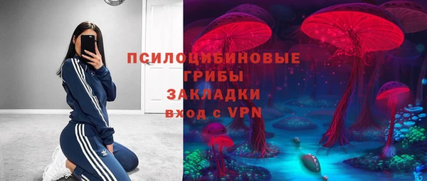 сатива Армянск
