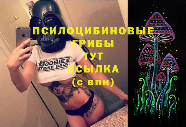 твердый Арсеньев