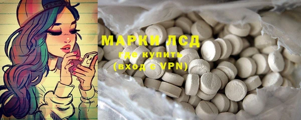 эйфоретик Аркадак