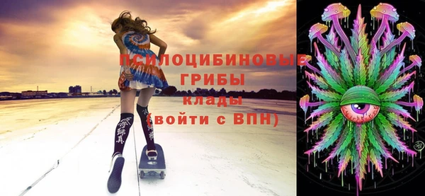 твердый Арсеньев