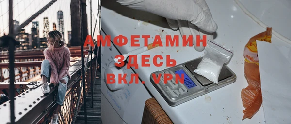 индика Осташков