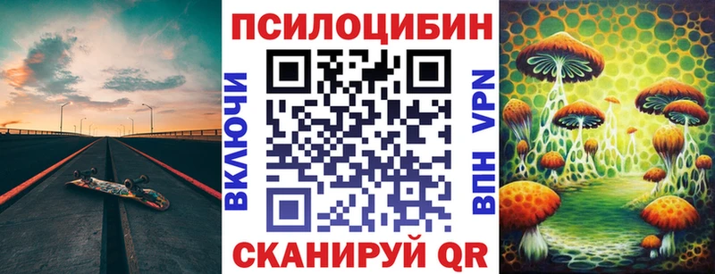 Псилоцибиновые грибы прущие грибы  нарко площадка официальный сайт  Вязники  где купить наркотик 